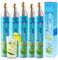 GreatWhip 60L CO2 Zylinder für Sodastream, Austausch Einschrauben Karbonisator kompatibel mit SodaMaker Gerät, Gewindezylinder, Set von 5