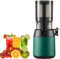 JMOZHCD Slow Juicer Masticating Juicer, Cold Press Juicer With Quiet Motor & Reverse Function For Fresh Healthy Fruits And Vegetables Juice (Green)