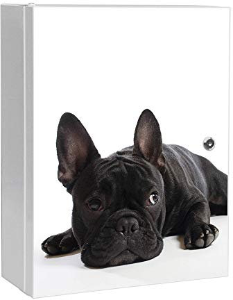 banjado Medizinschrank abschliessbar mit Motiv Bulldogge 35x46x15cm - großer Arzneischrank für die Hausapotheke - Medikamentenschrank aus Metall zur Medikamenten Aufbewahrung