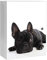 banjado® XXL Medizinschrank abschliessbar mit Motiv Bulldogge 35x46x15cm - großer Arzneischrank/Medikamentenschrank aus Metall zur Medikamenten Aufbewahrung - Apothekerschrank mit 3 Schlüsseln