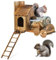 Holz Eichhörnchen Futterspender für draußen Baum Lustiges Eichhörnchen Haus für draußen Nisthaus Winter Holz Streifenhörnchen Haus Box für Mais Erdnüsse mit Leiter und Glasflaschenaufbewahrung