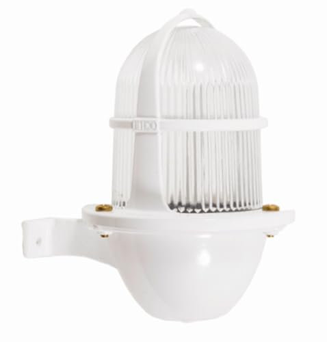 Licht-Erlebnisse Außenleuchte Messing Riffelglas 22 cm hoch IP64 Weiß E27 Maritim Handarbeit Wandlampe außen Balkon Außenleuchte Wand Haustür