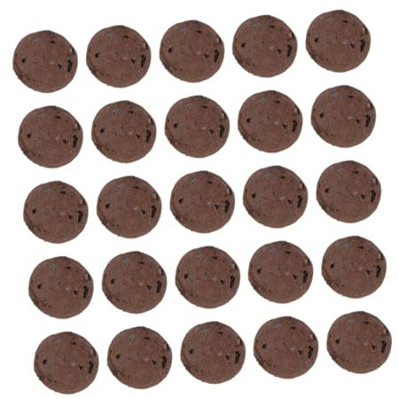 CIYODO Galets Succulents Pour Plantes Granulats Décoratifs Pour Jardinières Pierre Naturelle Pour Pots De Fleurs Argile Pour Intérieur