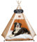 Mooipet Tipi Zelt für Haustiere mit doppelseitigem Kissen Haustierzelt für Hunde/Katzen Haustierhütte Abnehmbar und Waschbar Hundehaus für Meerschweinchen Kaninchen Hamster Kätzchen 60x60x70cm