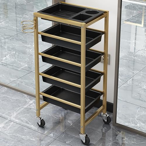 XRRJFYH Friseur Wagen mit Rollen Friseurwagen Rollwagen Tattoo Wagen Kosmetikwagen Cart 5 Etagen Trolley(Gold)