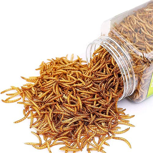 BNYEE Reptile Food Dried Mealworms Pet Worms Food for Bearded Dragon, Lizard, Turtles, Chameleon, Monitor, Frog, Sugar Glider, Chickens, Birds, Hamsters and Hedgehogs (3.5 OZ)