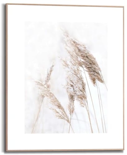 REINDERS Gerahmtes Bild, Pampasgras, Wohnzimmer, Bilder, Wanddeko, Room Decor, MDF, Weiß, 50x40cm