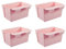 ARTECSIS Lot de 4 Jardinière rectangulaire 18,5x9x9,5cm, Plastique Rose/pour Palette