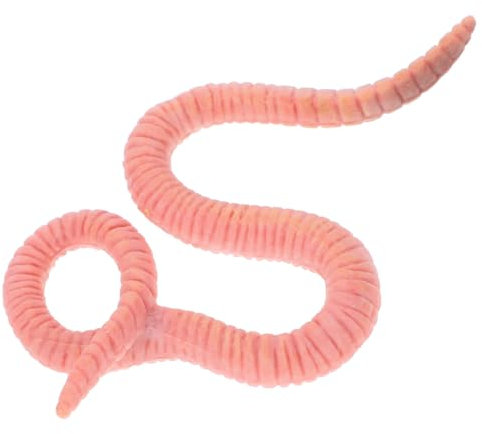 Abaodam Regenwurm-Modellspielzeug Regenwürmer-Trickspielzeug lebensechte Tierspielzeuge tierfiguren für Kinder kinderzimmerdeko Modelle Kinderspielzeug Insektenfiguren Spielzeug Regenwurm