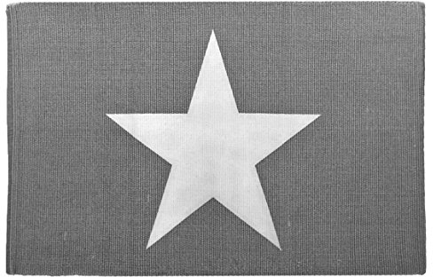 Bada Bing Teppich Läufer Ca. 60 x 90 cm Grau Mit Großem Weißem Stern Modern 09A