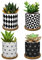 Lewondr Vasi da Fiori in Ceramica 4 Pezzi con Vassoio in Bamboo, Foro Centrale, Drenaggio Acqua, Dim 7,1x7,1x 6,4 cm, Accessori Giardino, Vasi per Piante,Balcone, Casa - Giometrica 01 Bianco Nero