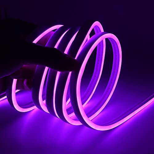 XUNATA 5m Viola Striscia LED al Neon con Alimentatore, Flessibile, Impermeabile, DC 12V Luci LED 2835 per Esterni, Feste, Decorazione per Feste, Insegne Pubblicitarie