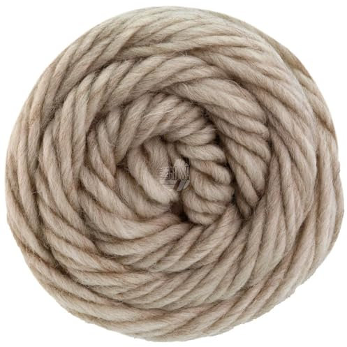 LANA GROSSA Landlust die Filzwolle | Filzgarn aus 100% Schurwolle | Handstrickgarn aus 100% Schurwolle | 100g Wolle zum Stricken & Häkeln | 100m Garn FB5009