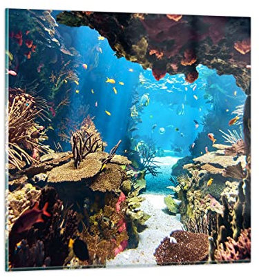 Bilder auf Glas 40x40cm Glasbild Ozean Riff Fische Koralle Klein Wanddeko Bild im Glas Schlafzimmer Küche Deko Wandbilder Dekoration Wohnzimmer Modern Wall Decor Wand Kunstdruck Art GAC40x40-2872