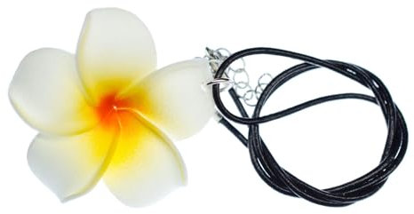Miniblings Frangipani Collier chaîne Fleur Lily Collier en Cuir Fleur Fleur en Cuir 45cm