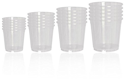 Geli 20er Set Orchideentöpfe Verschiedene Größen transparent klar