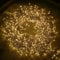 NETTA Christmas Tree Lights Cluster Lights 1000 LED - 8 Hours On Timer, 8 Light Modes, Plug in, Waterproof Indoor & Outdoor Use – 1000 LED / 12m Lit Length, Warm White
