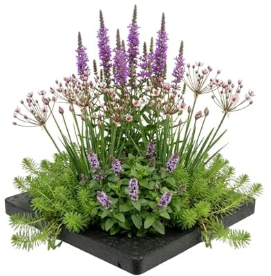 Vdvelde․com - Pflanzinsel gegen Mücken, 4 Wasserpflanzen, Teich 25x25 cm | Weniger Mückenlarven im Gartenteich, schwimmender Naturfilter, inklusive Korb, Substrat, Dünger, winterhart