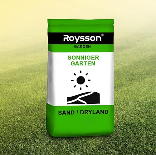 Rasensamen Für trockene Erde Dürreresistenter Rasen Grassamen Gras 1-30 kg ca. 50-1500 m² SAND (20 kg ca. 1000 m²)