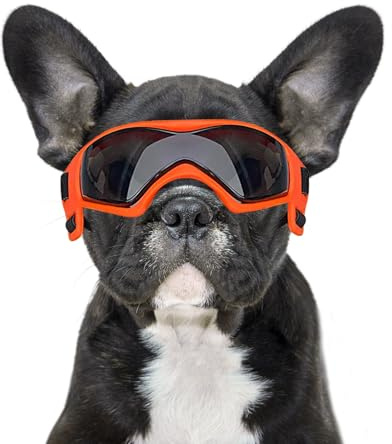 BillionChains Hundebrille mit verstellbarem Riemen, Hundesonnenbrille, UV-Schutz, Winddicht, Hundebrille für Hunde, Orange