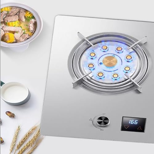 THEGA Stufa in Acciaio Inox Stufa A Gas - 7.0KW Bruciatore da Cucina, Cucine a Gas da Tavolo e da Incasso, Cucine a Gas con temporizzazione Intelligente, Due Tipi di Protezione di Sicurezza(LPG)