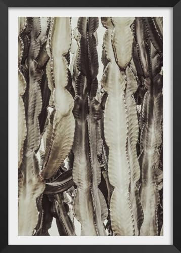 Hexoa Poster Cactus Mood - Made in France - Affiche sous Cadre Noir 20x30