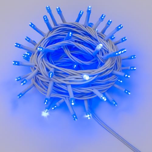 IXTRIMA Catena Luminosa LED, catenaria 10 Metri da esterno, 100 Luci, IP65 Impermeabile e Prolungabile con Effetto Flash, per Natale, Negozi, Balcone (Luce blu - flash, Cavo bianco)