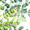 Textrend Baumwollstoff Stoffe Meterware - Stoff zum Nähen - 100% Baumwolle - Baumwollstoff mit Blättern - Stoffe Meterware (Grüne Eukalyptusblätter auf weißem Hintergrund)