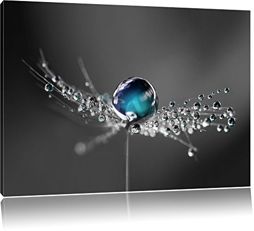 Pixxprint Wassertropfen auf Einer Pusteblume, Größe: 60x40cm, Leinwandbild, fertig gespannt, Wandbild, Dekoration, Kunstdruck, kein Poster
