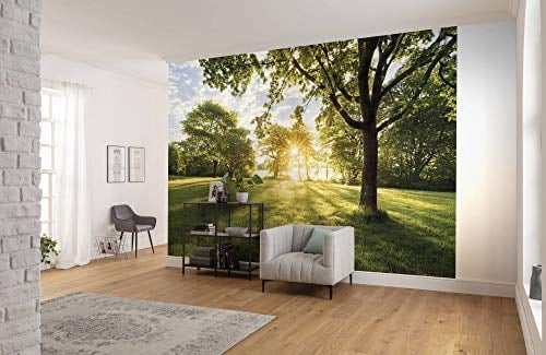 Komar Fototapete GOLDEN MOMENT - Größe 368 x 254 cm (Breite x Höhe) - Landschaft, Sonnenaufgang, Natur, Tapete, Wanddekoration, Schlafzimmer, Wohnzimmer - 8-743