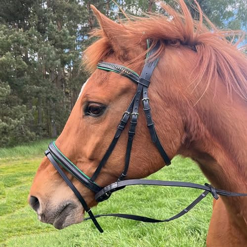 Brama West Reithalfter Pferd Sparkle - englisch kombiniert - Ledertrense mit Antislip Zügel und Strasssteinen (Grün, XFull)