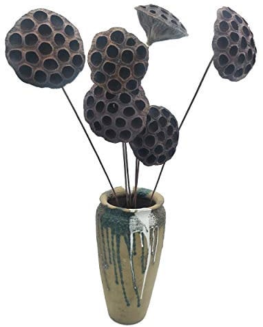 CnKnight, 6 baccelli di loto essiccati naturali con stelo lungo 66 cm, per composizioni floreali, bouquet da sposa, decorazione per la casa, ghirlande, centrotavola fai da te Art Deco 6pcs 26''