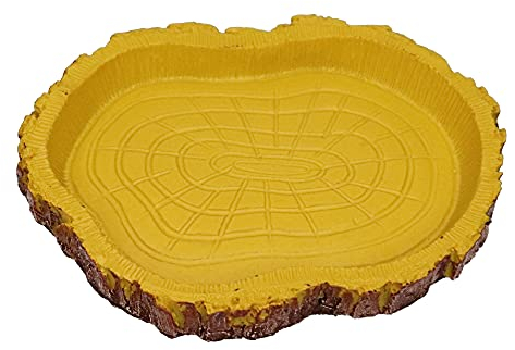 Mangeoire pour reptiles - Bol d'eau en résine - Mangeoire pour tortue, gecko, serpent, lézard, tortue