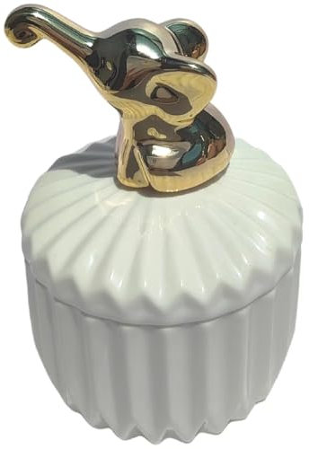 HUARULING Weiße dekorative Boxen mit Deckel, mehrere Musterfarben, Schmuckkästchen, rosa Süßigkeitenglas mit Deckel, Küchenaufbewahrung, kleiner Behälter (Weißgold, Elefant 006)
