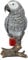 Figuren Shop GmbH Gartenfigur Graupapagei – Naturgetreue Papageienfigur von HotAnt, 22,5 cm Höhe, wetterfest & handbemalt
