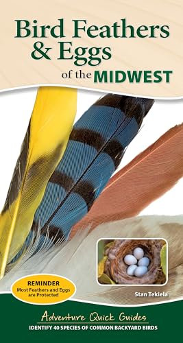 Bird Feathers & Eggs of the Midwest: Identify 40 Species of Common Backyard Birds (Adventure Quick Guides)