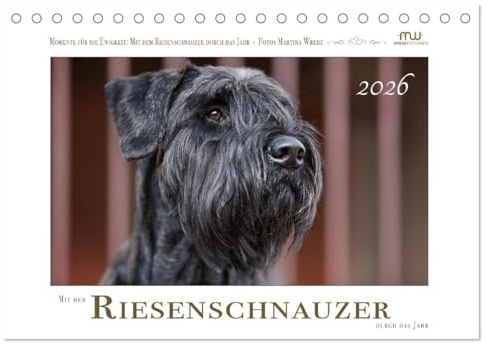 Mit dem Riesenschnauzer durch das Jahr (Tischkalender 2026 DIN A5 quer), CALVENDO Monatskalender: Riesenschnauzer - schwarz (CALVENDO Tiere)
