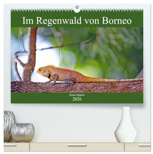 Im Regenwald von Borneo (hochwertiger Premium Wandkalender 2026 DIN A2 quer), Kunstdruck in Hochglanz: Faszinierende Flora und Fauna hautnah erleben (CALVENDO Orte)