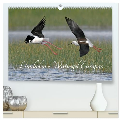 Limikolen - Watvögel Europas (hochwertiger Premium Wandkalender 2026 DIN A2 quer), Kunstdruck in Hochglanz: Schnepfen und Regenpfeifer gehören zu den ... ihre Überwinterungsgebiete. (CALVENDO Tiere)