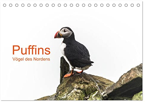 Puffins - Vögel des Nordens (Tischkalender 2026 DIN A5 quer), CALVENDO Monatskalender: Papagaeintaucher sind die arktischen Vögel, die der Kälte und ... in anderen Gefilden trotzen. (CALVENDO Tiere)