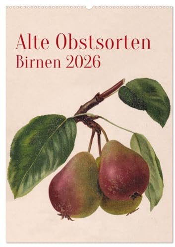 Alte Obstsorten - Birnen 2026 (Wandkalender 2026 DIN A2 hoch), CALVENDO Monatskalender: Alte Obstsorten werden in historischen Farblithographien ... im eigenen Garten. (CALVENDO Kunst)