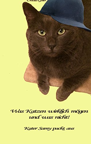 Was Katzen wirklich mögen und was nicht: Kater Samy packt aus