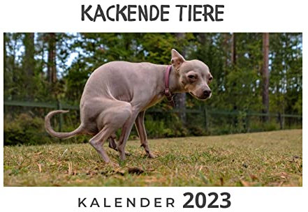 Kackende Tiere: Kalender 2023