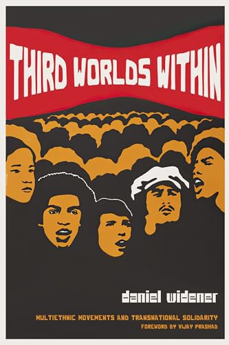 Third Worlds Within: Multiethnic Movements and Transnational Solidarity