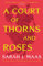 Ein Hof von Dornen und Rosen