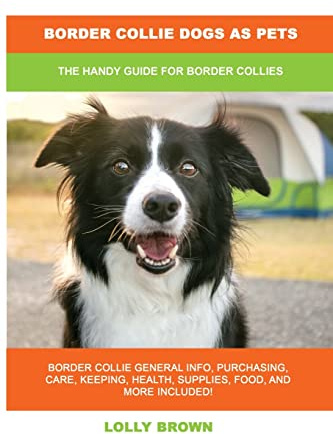 Border Collie Dogs as Pets: The Handy Guide for Border Collies