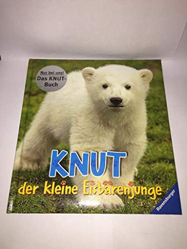 Knut, der kleine Eisbärenjunge