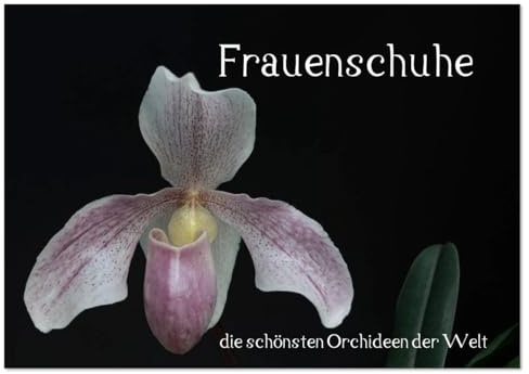 Frauenschuhe - die schönsten Orchideen der Welt (Wandkalender 2026 DIN A4 quer), CALVENDO Monatskalender (CALVENDO Natur)