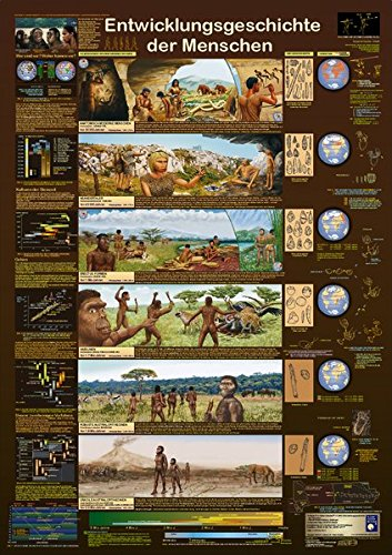 Planet Poster Editions Entwicklungsgeschichte der Men schen Poster, deutsch DIN A1