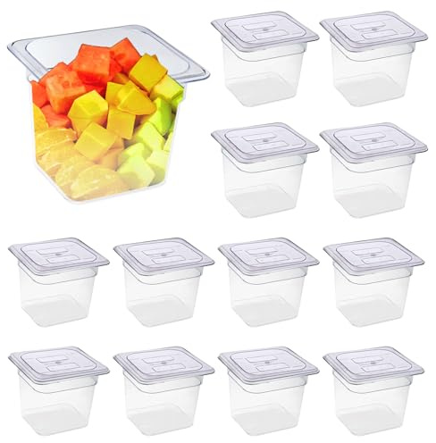Hyuetrsa 8 Packs Plastic Food Pan with Lids Clear Storage Containers